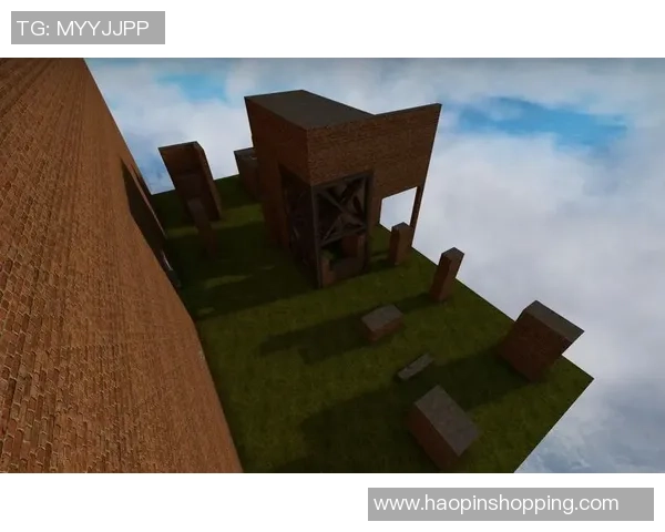 深度探讨刘敏在CSGO世界中的成长与挑战之路