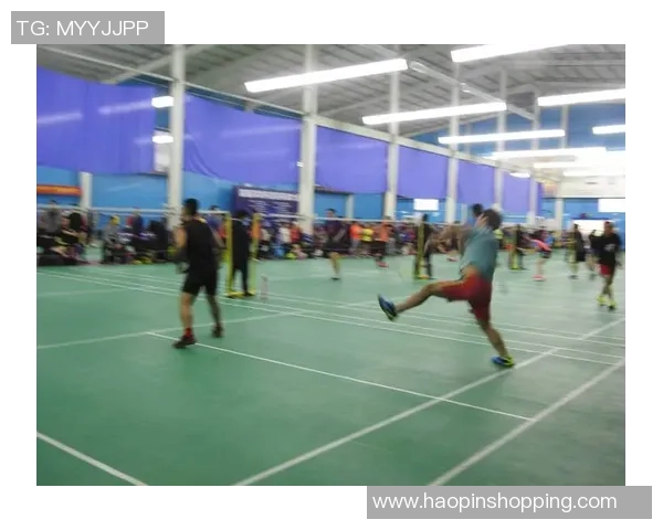 赛后分析成都羽毛球队与武汉羽毛球队的实力对决与战术较量